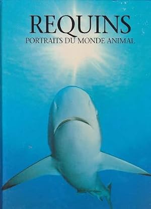 Requins : portraits du monde animal